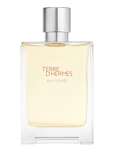 Hermès Terre d'Hermès Eau Givrée Eau de Parfum 100 ml