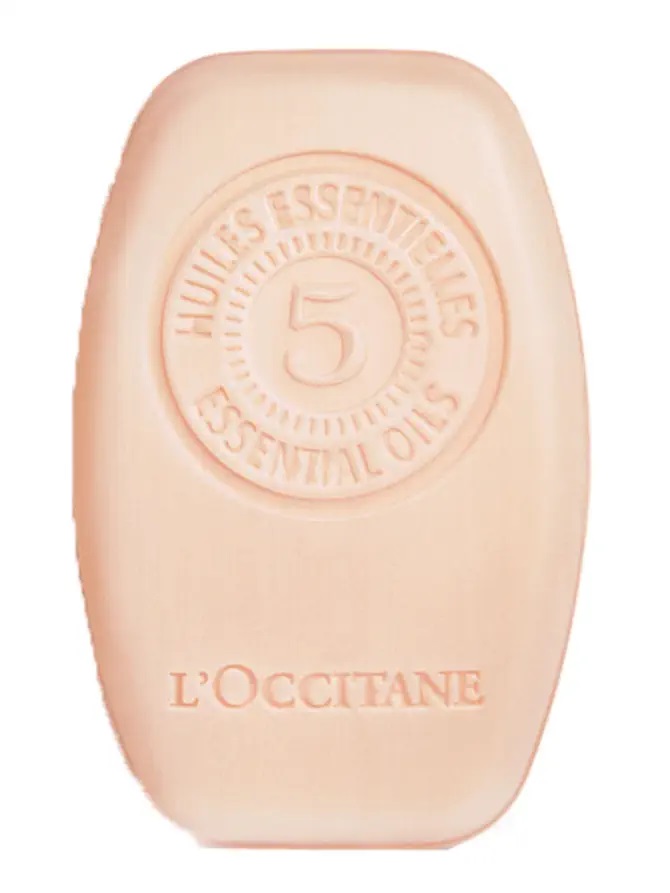 L'Occitane en Provence 5 essential oils repair solid shampoo 60 g