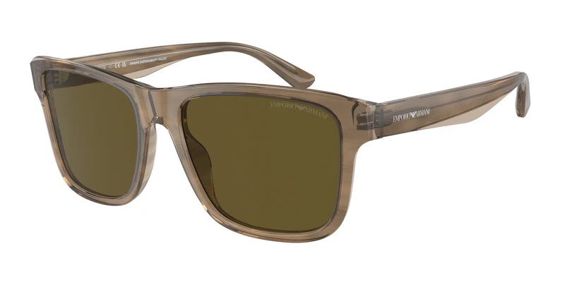 Emporio Armani Sunglasses 0EA4208 605573 56