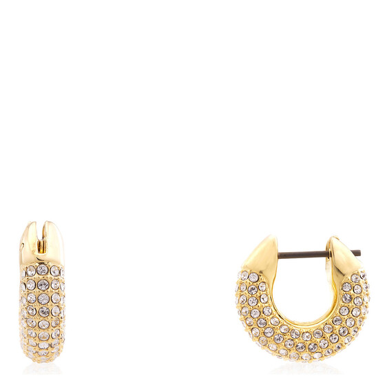 Swarovski Dextera Small Hoop Earrings 5689685