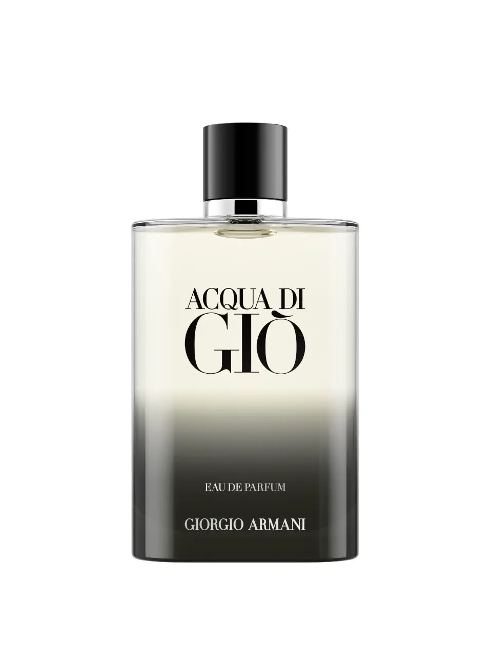 Giorgio Armani Acqua di Giò pour Homme Eau de Parfum 200 ml