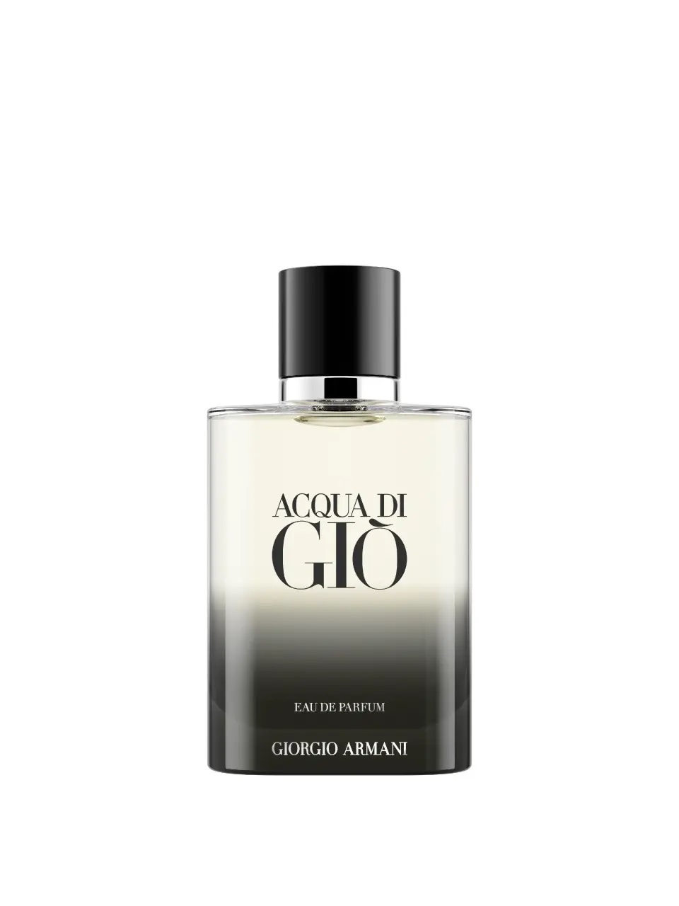 Giorgio Armani Acqua di Giò pour Homme Eau de Parfum 100 ml